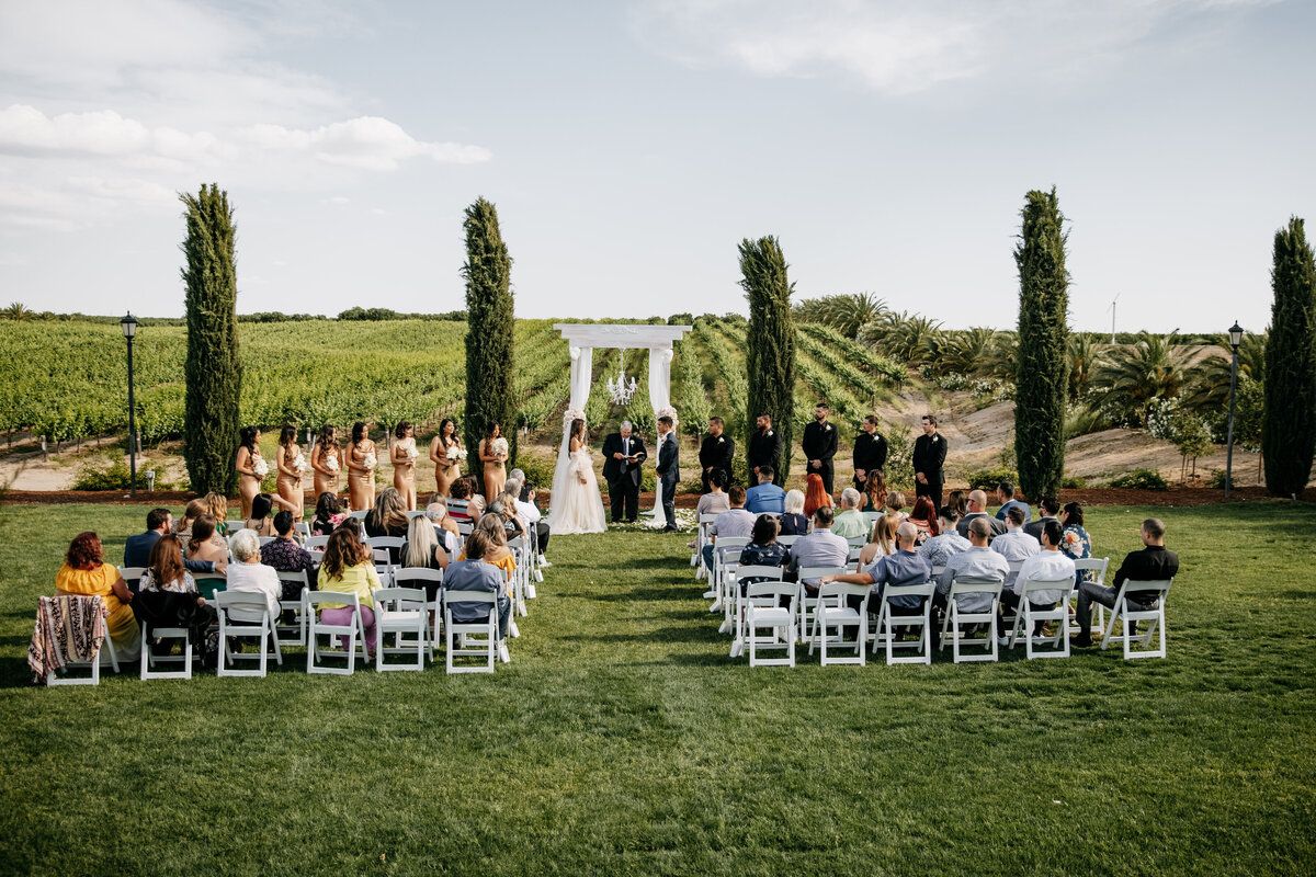 Toca-Madera-Winery-wedding-ceremony-overlooking-vineyard
