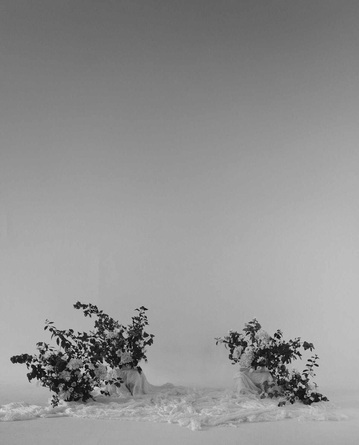 Tezza-2763 2 - vertical