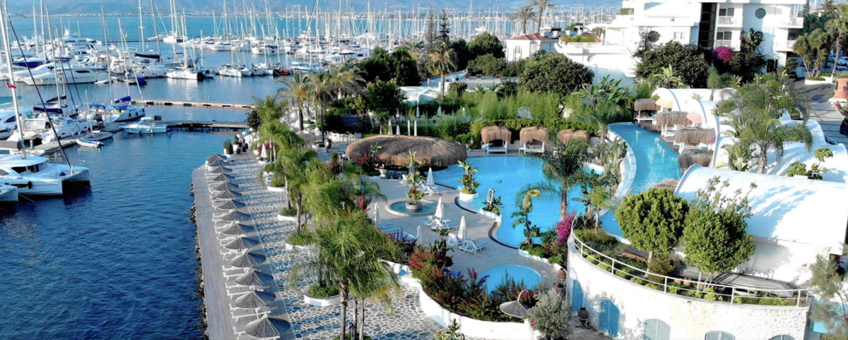 Screenshot 2023-01-22 at 11.12.44