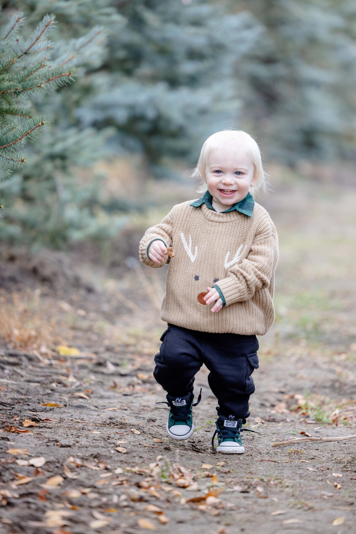 Utah-County-UT-Christmas-Tree-Farm-Mini-Session-Magnolia-and-Grace-Photography-Co-AshbyilyinJ-# (1)-21
