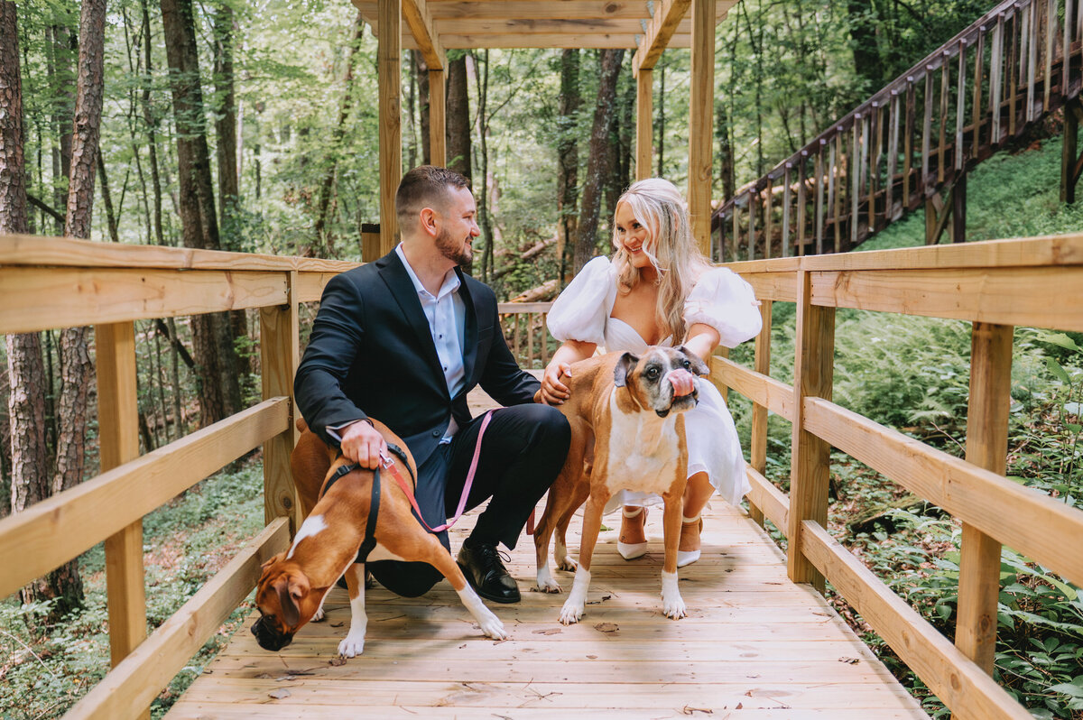 Newlyweds hold their dogs outdoors