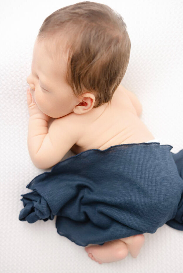 Posed newborn on stomach with a dark blue blanket covering his back.