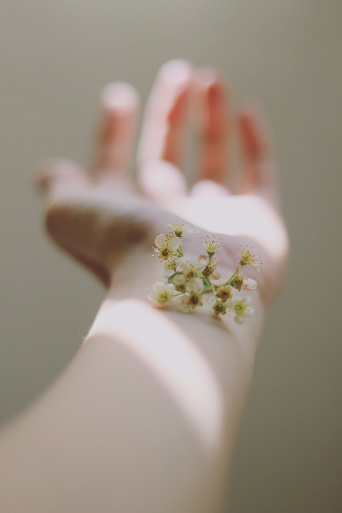 Avant-bras au premier plan avec une branche de petites fleurs blanches posées dessus.. main au loin avec effet de flou.