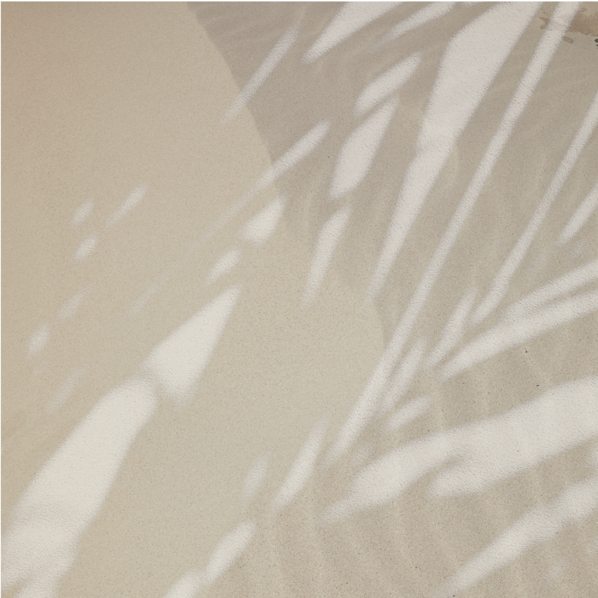 ONORATEXTURES-06