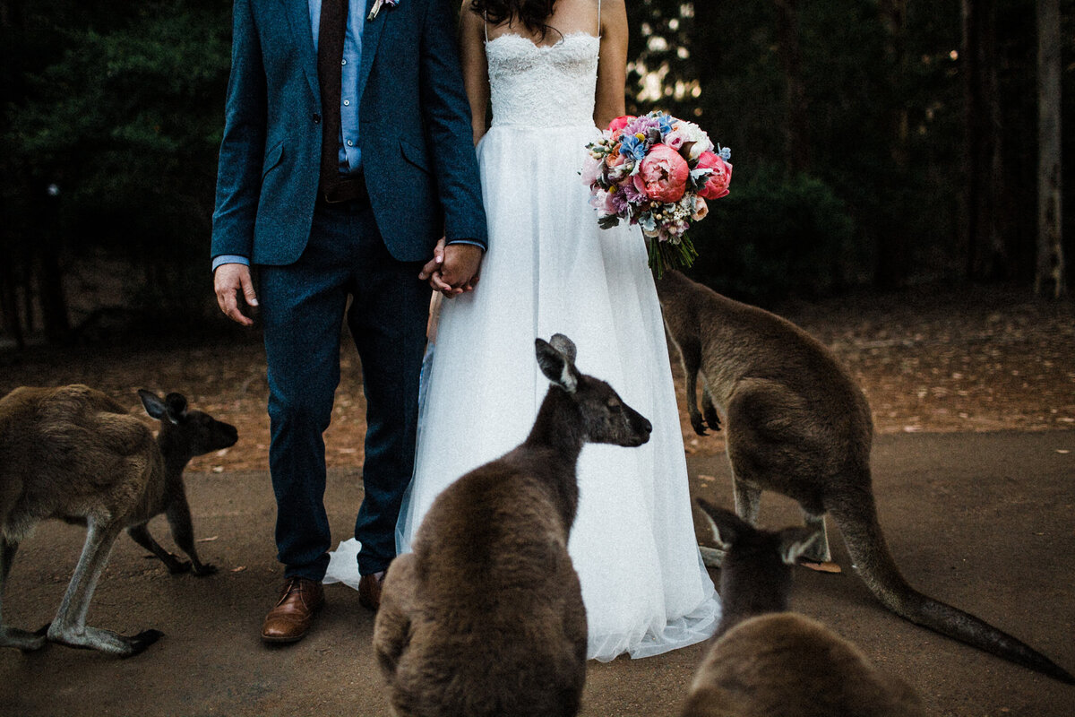 TTWWR-Animals-at-weddings-2048-1