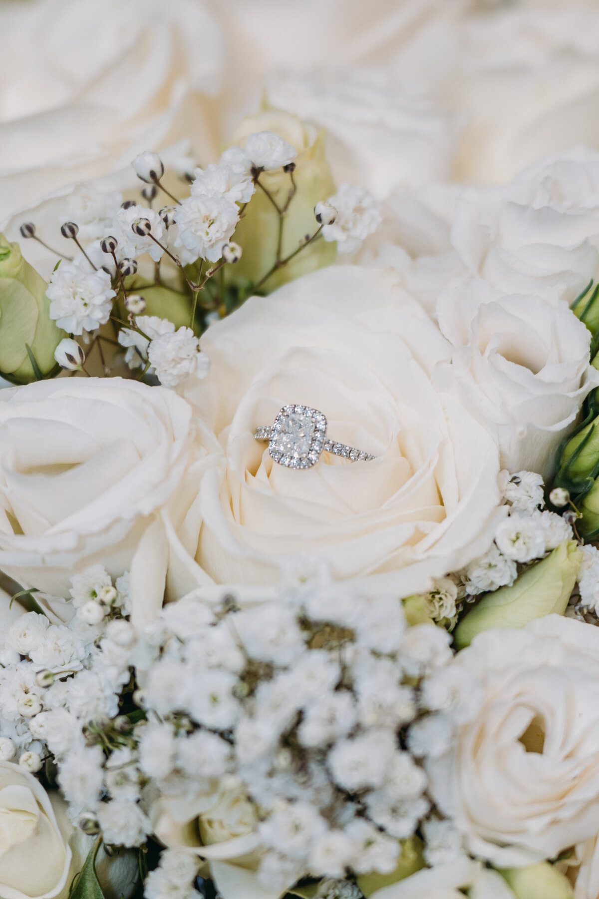 Benson Park Photography-08720