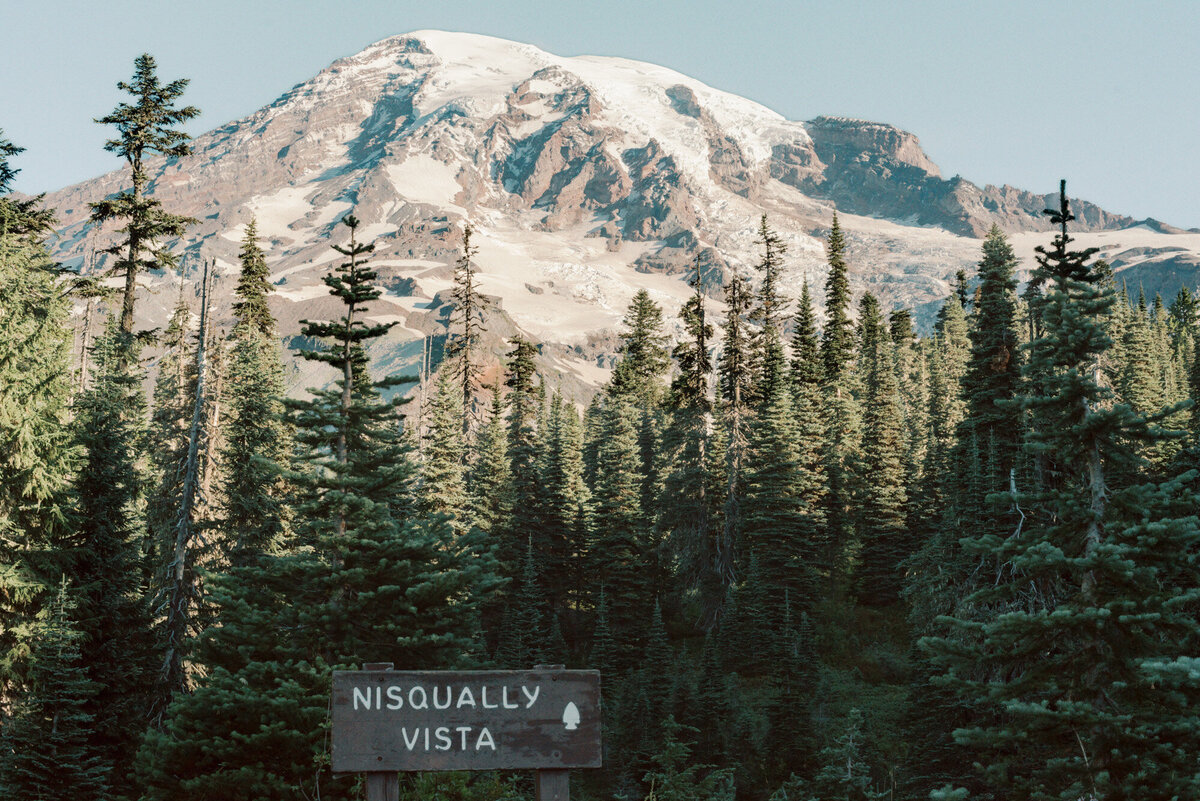 Mount-rainier-elopement-43