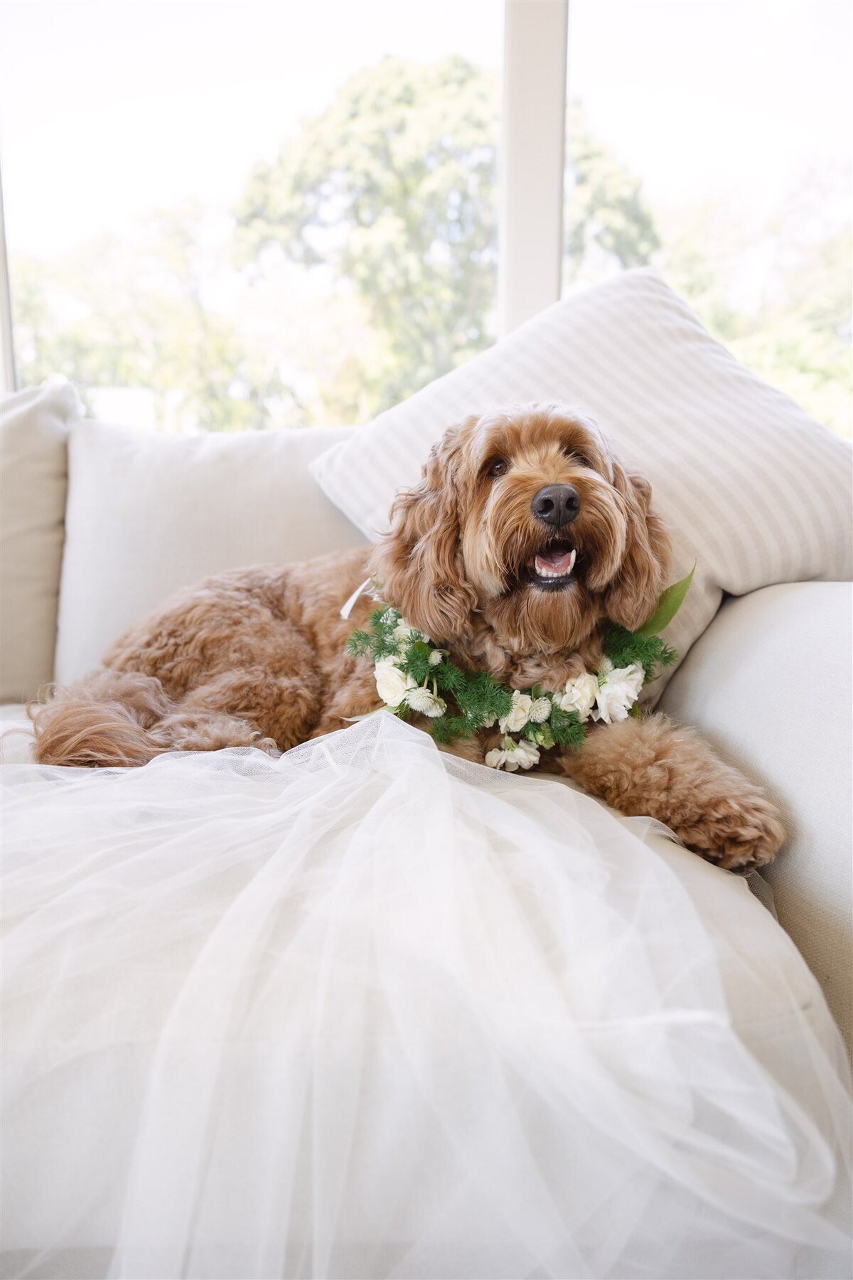 Caroline & Louis Wedding Previews-22