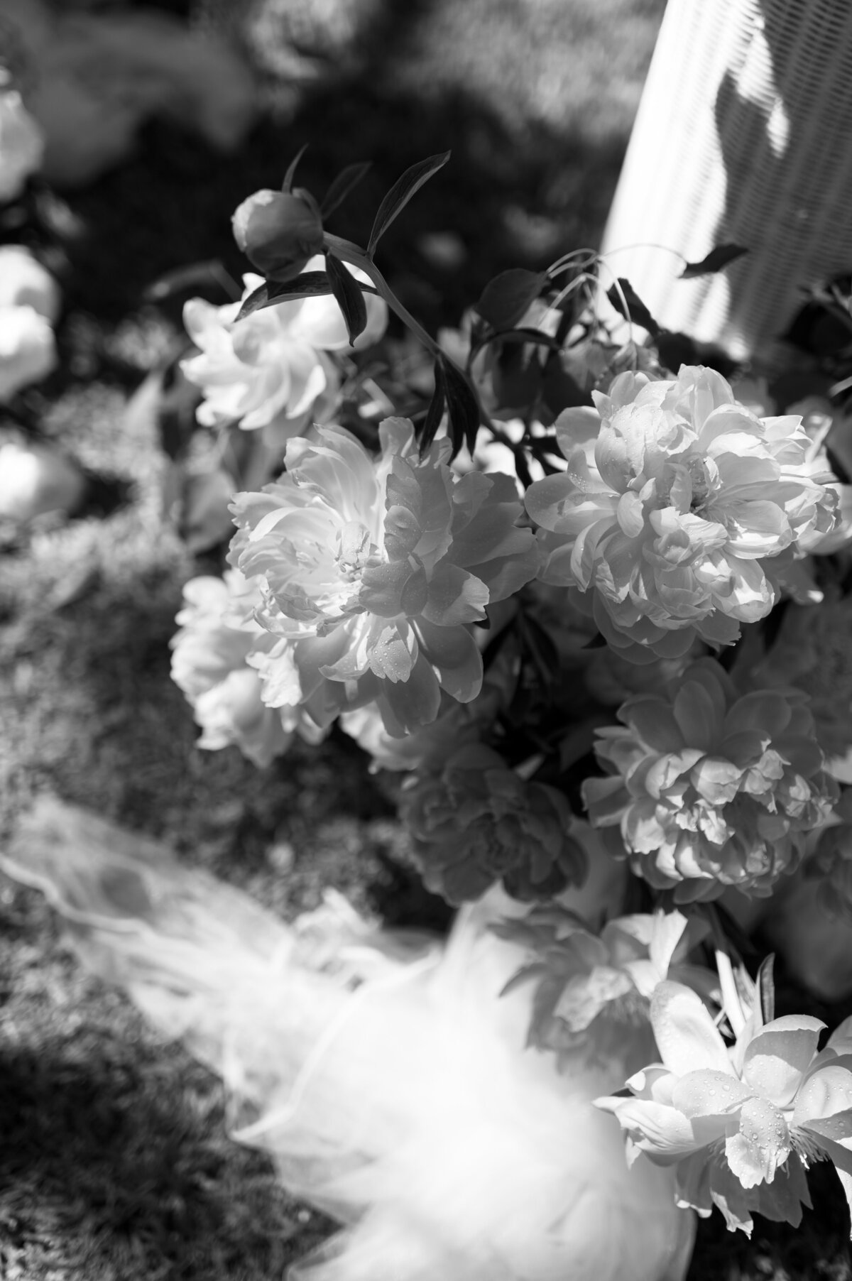 Leah Cruikshank Photography — photo 5 of 18