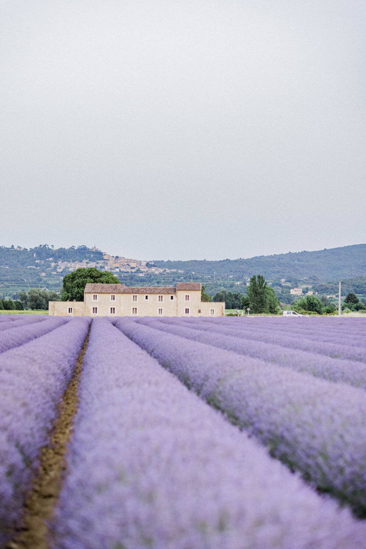 CapucineAtelierFloral_Fleuriste_Champs-Lavande_Provence_08