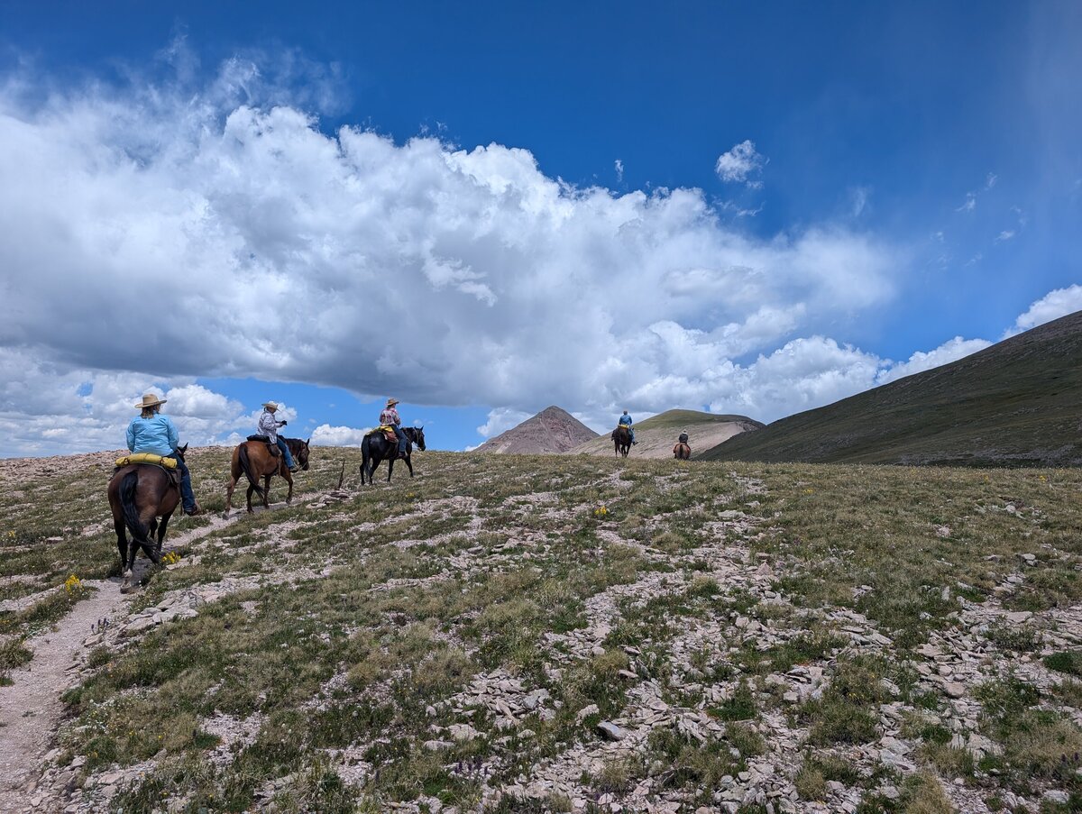 PXL_20250710_192254095.RAW-01.MP.COVER (1)