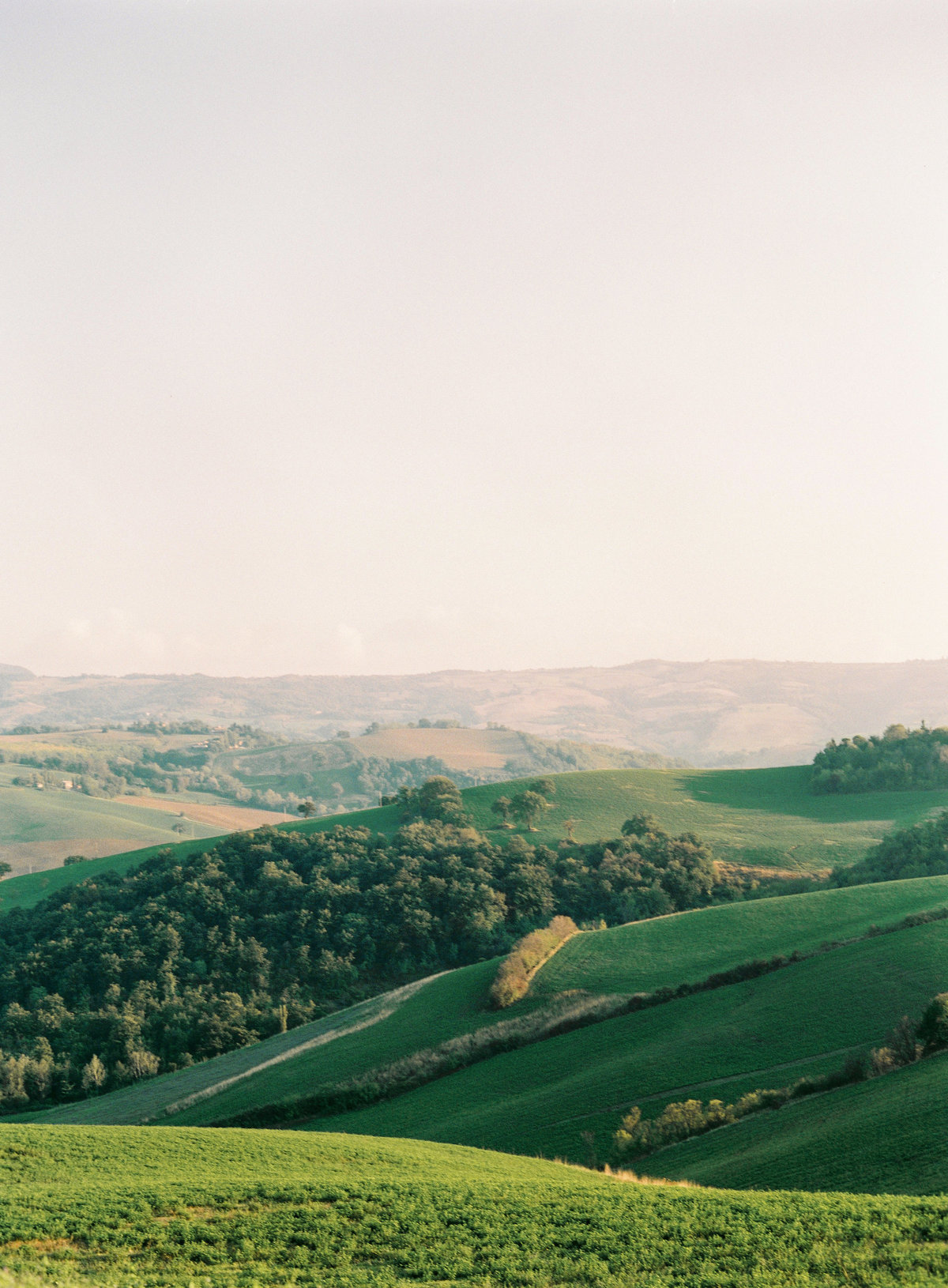 Romina Schischke Fotografie - 65 Geburtstag Röll - Bild -97-17