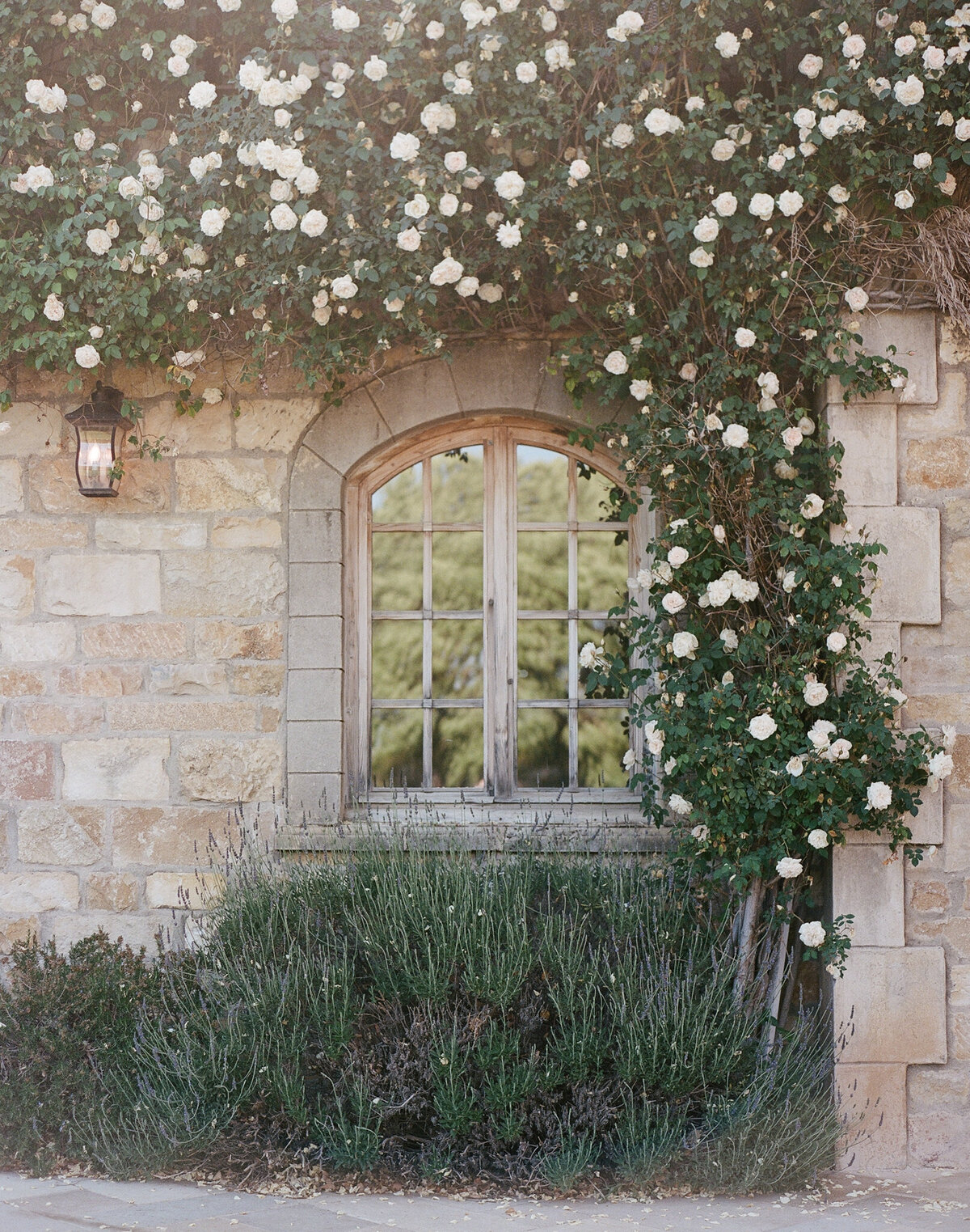 sunstonewinerywedding-8