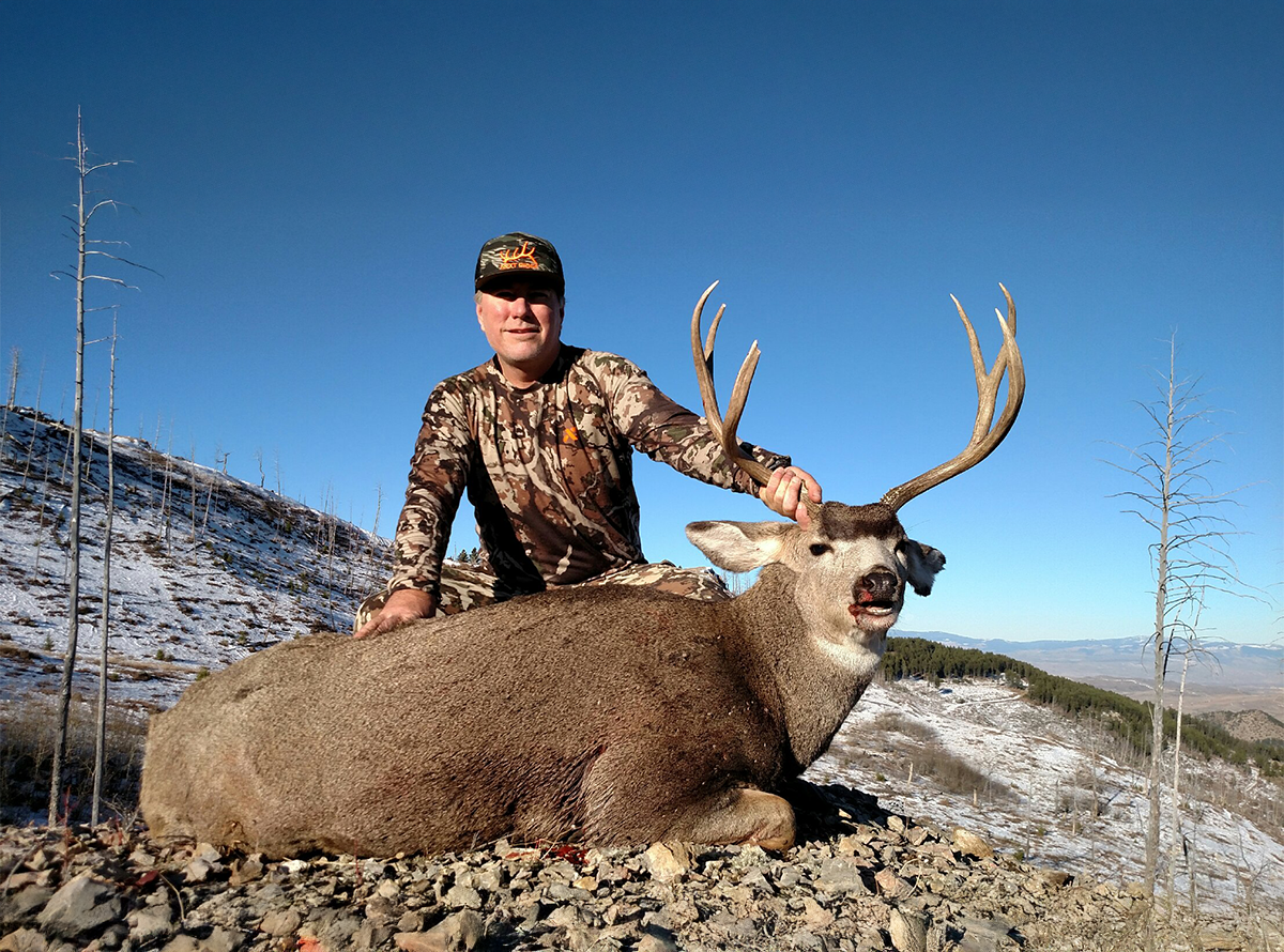 Montana Elk Hunts