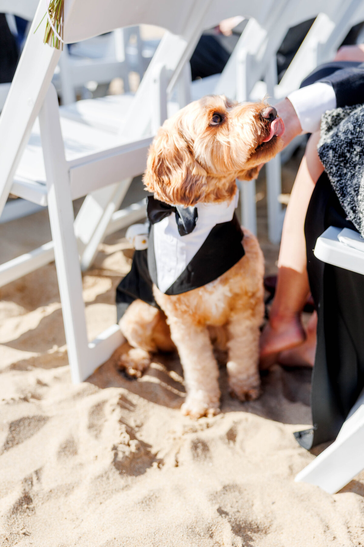 Monterey Wedding (42 of 188)