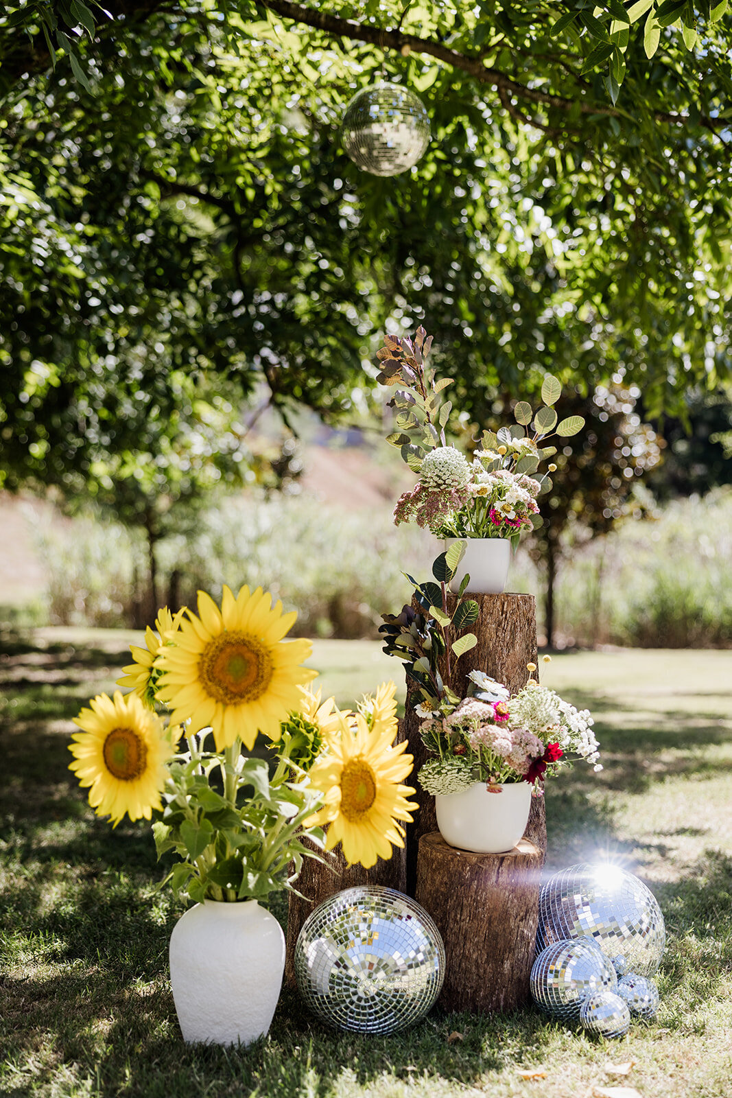 Jess and Ben - 28.02.2025 - JessicaCarrollPhotographer-213_websize