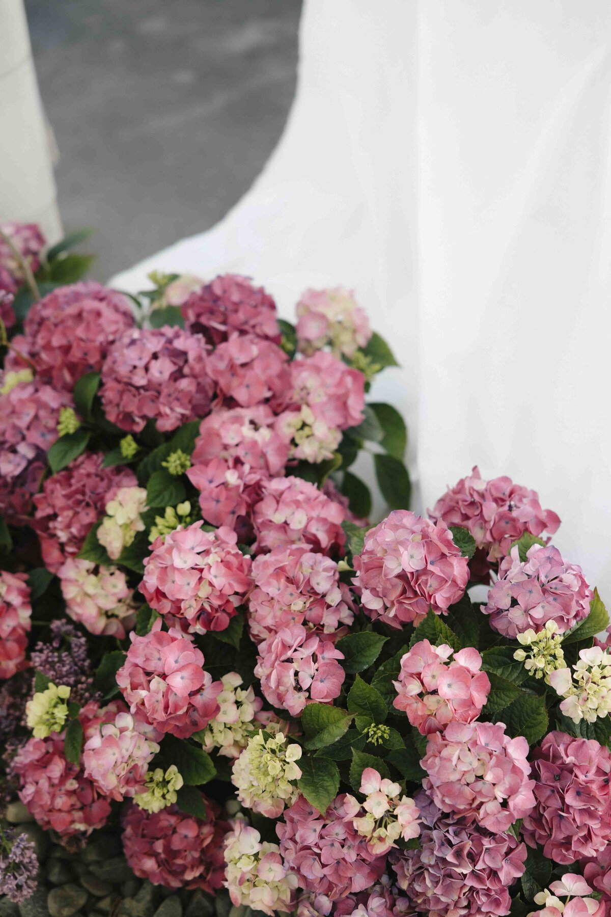 griffin-house-wedding-57