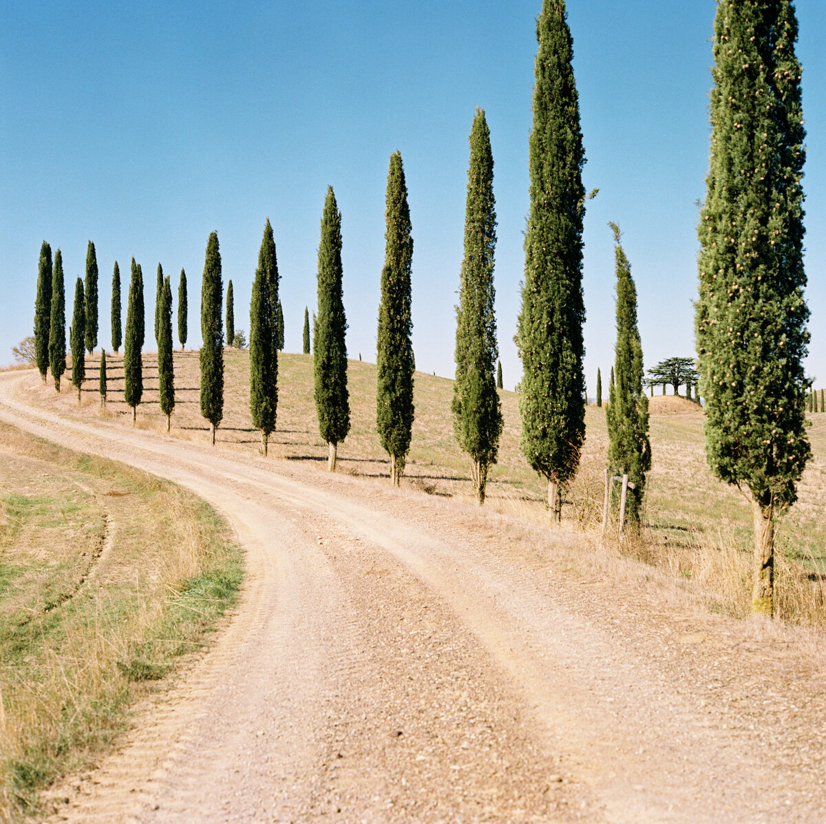 Travel photography in Tuscany, Italy - 4