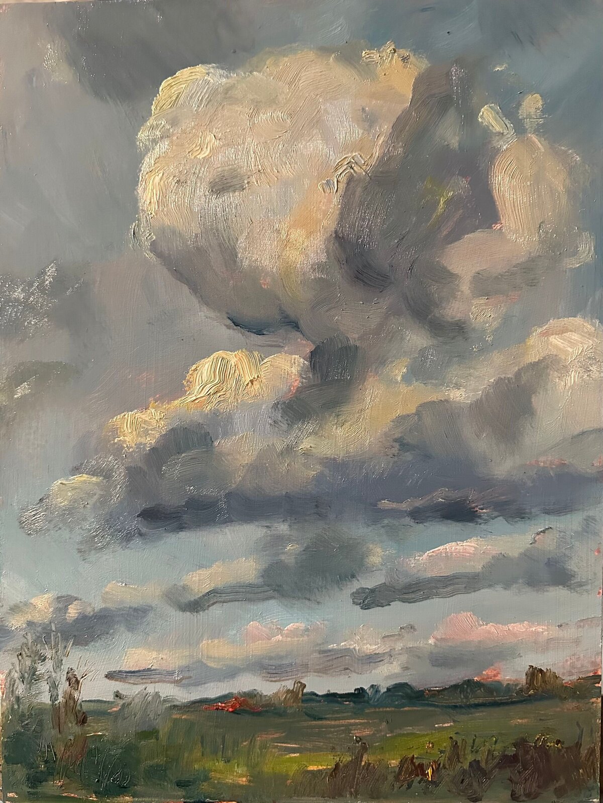 Plein air in the Field 11x14 oop 2,500