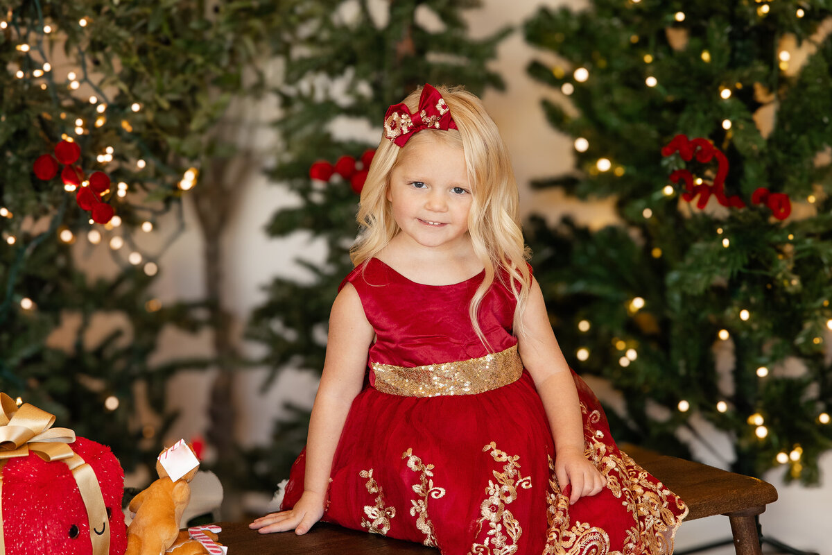 2024 holiday photos001proofs