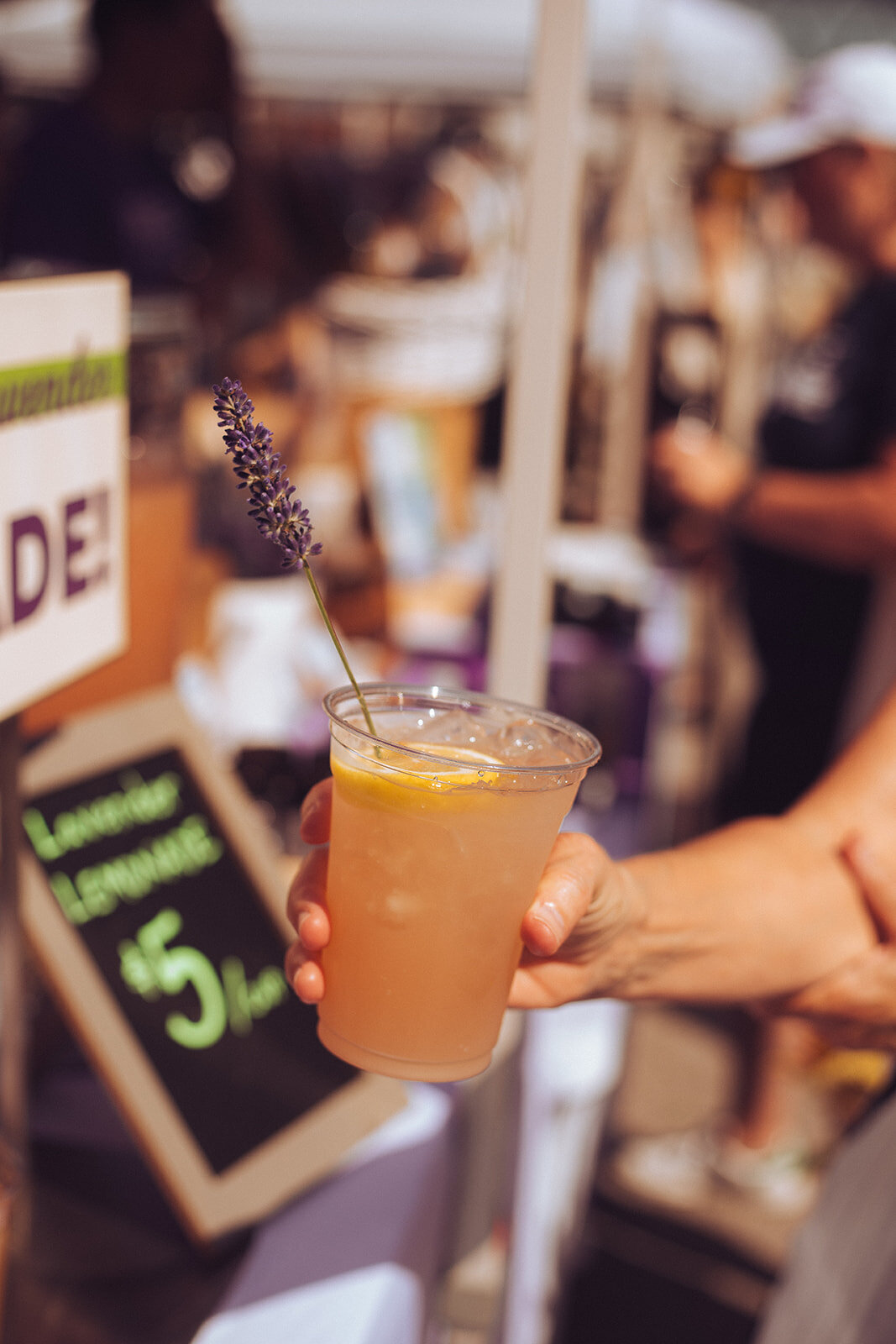 Iowa Lavender_F20A6112