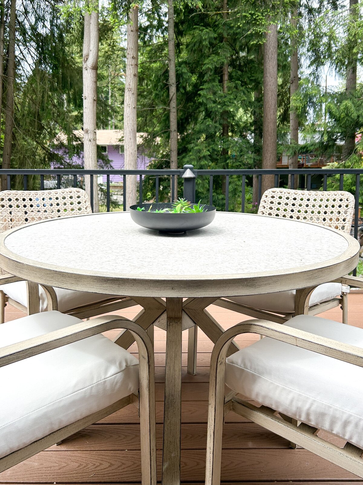 vacant-staging-shoreline-remodel-patio-modernmollusk