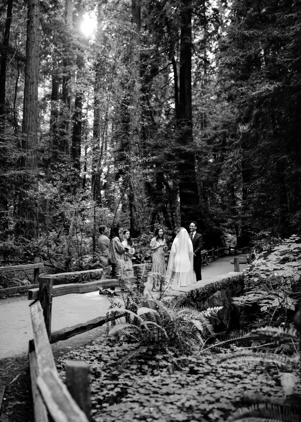 08242022_Rebecca+CharlesElopement_MuirWoodsCA_AnjaJensenPhotography-140