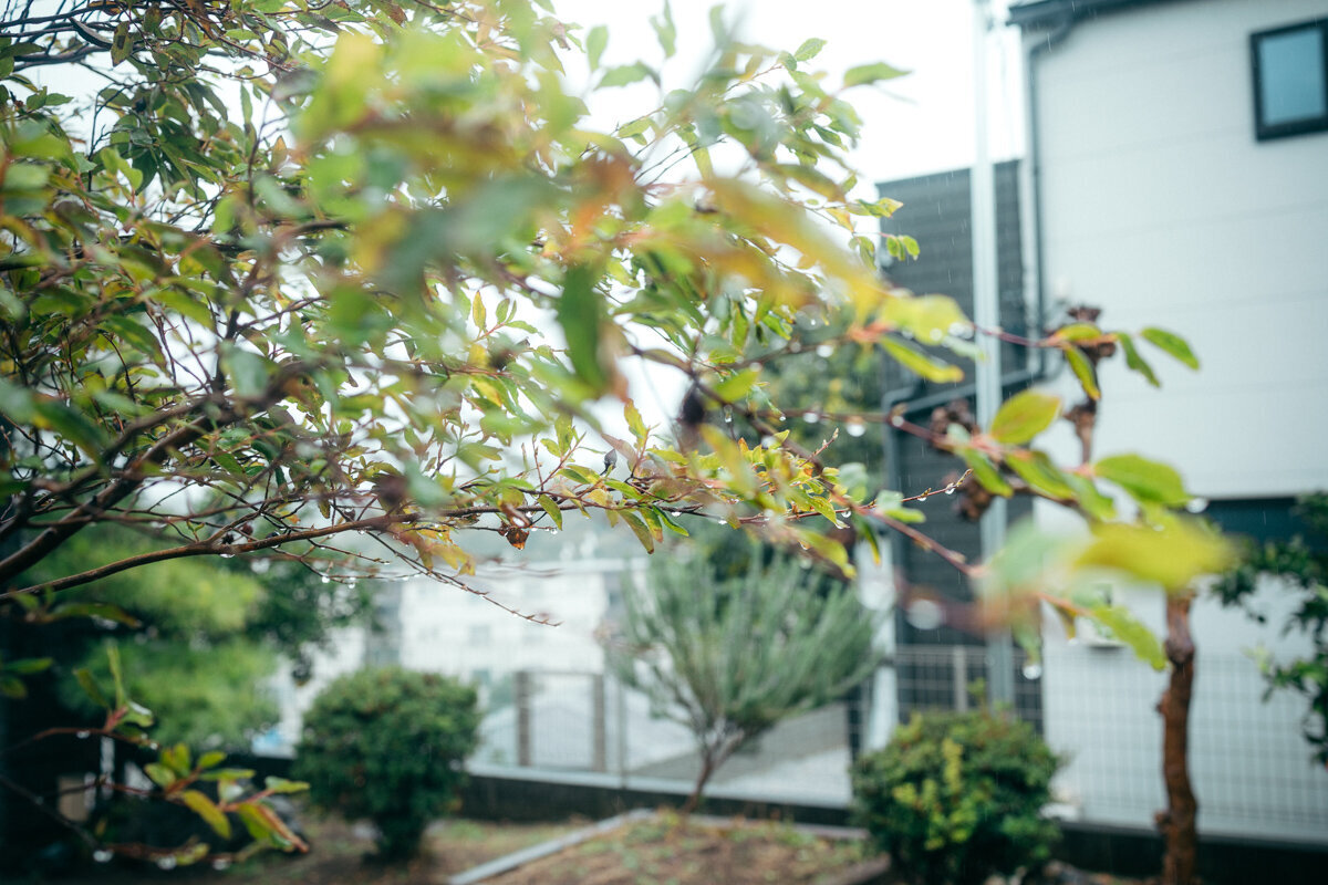 yokohama-kamakura-birth-photographer-a-38