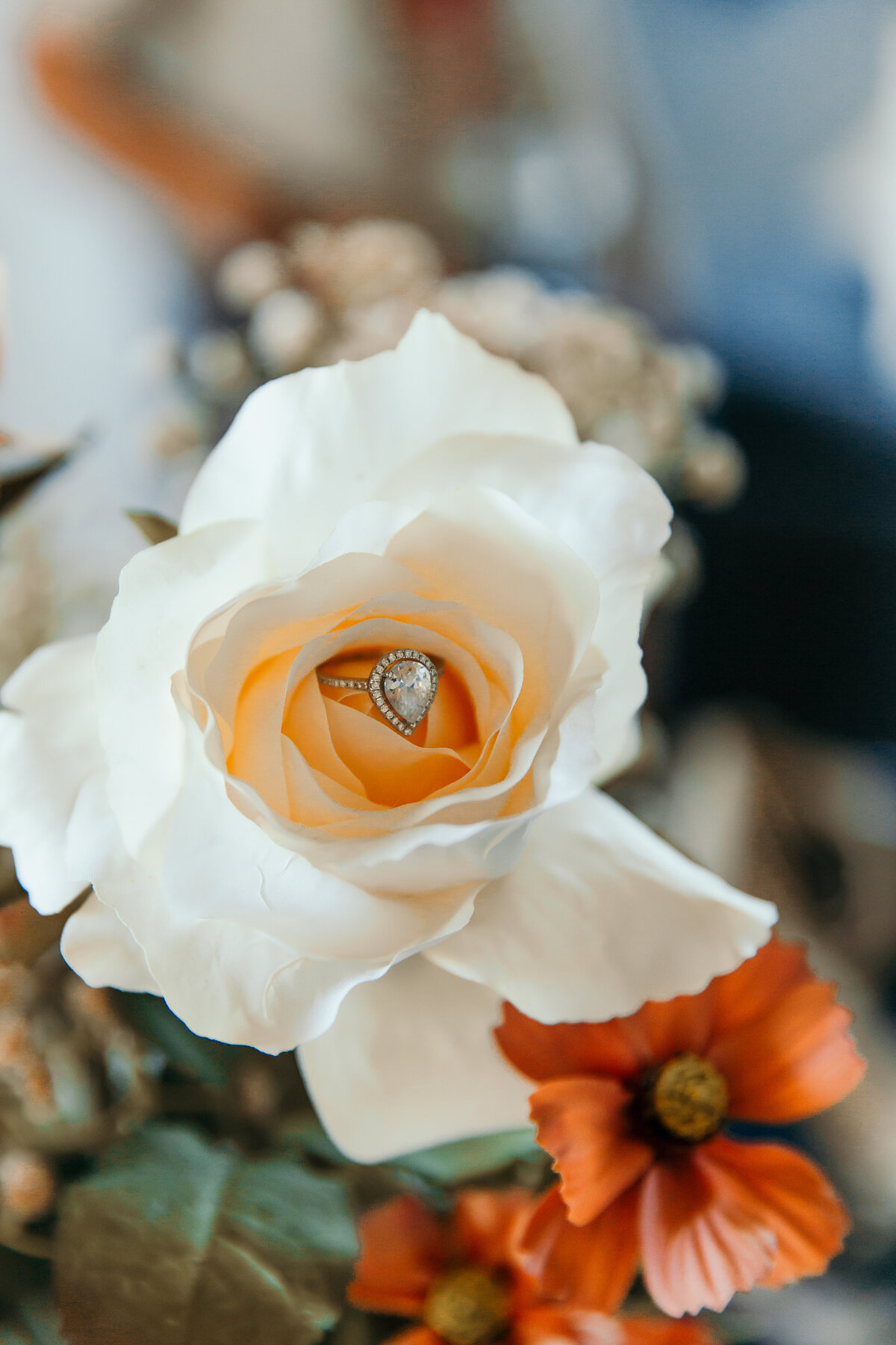 engagement ring inside white rose