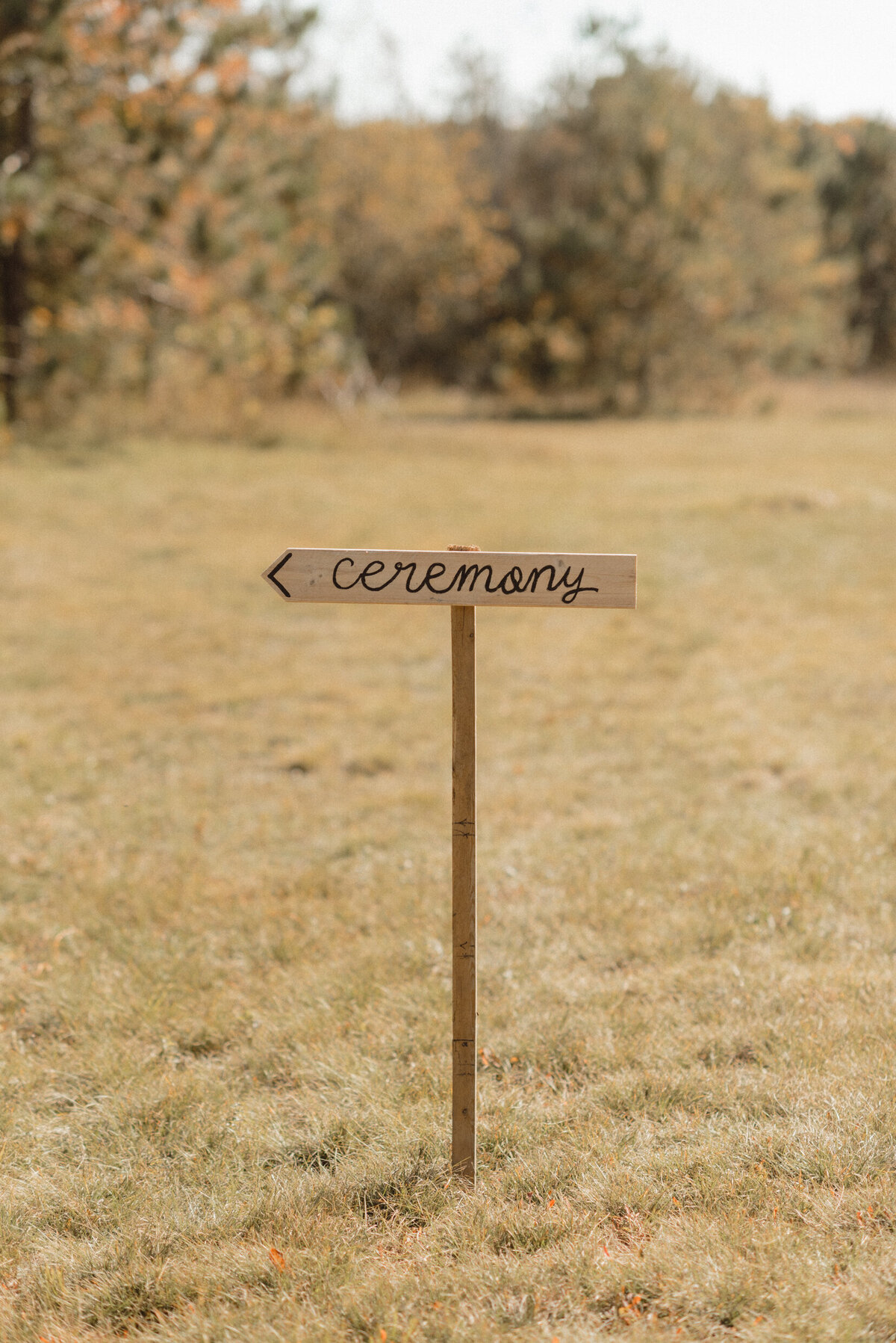 AllieJenningsPhoto-SophieTKWedding-SNEAKPEEKS-57