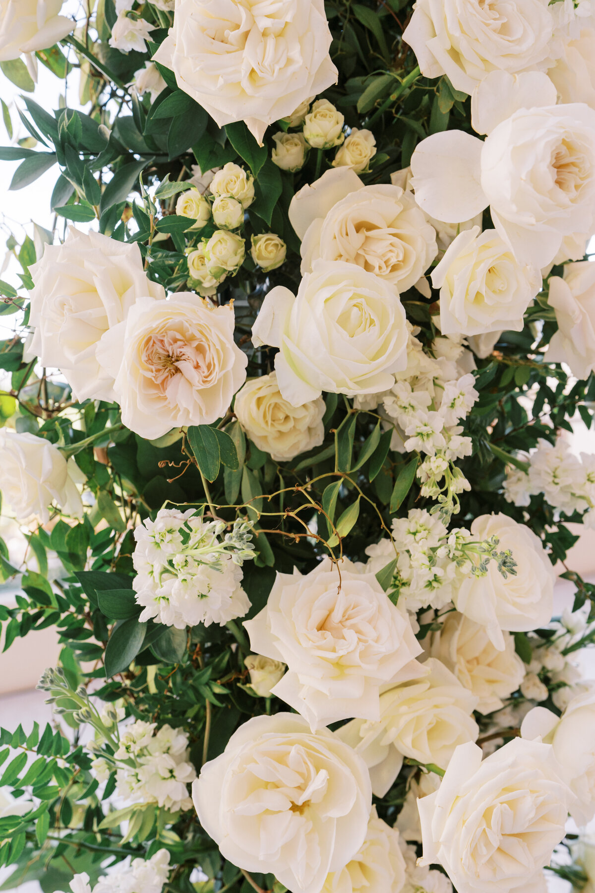 D+LWedding219