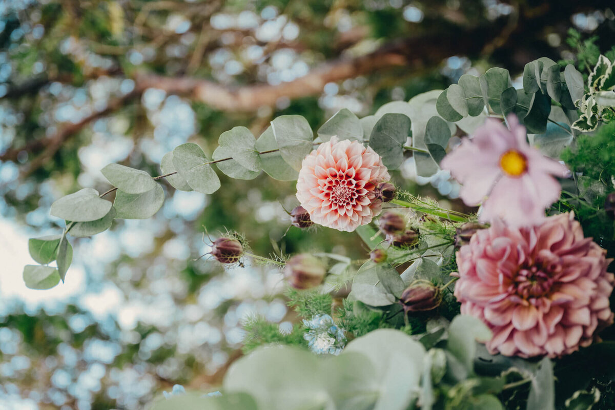 Galiano Island shoreline wedding