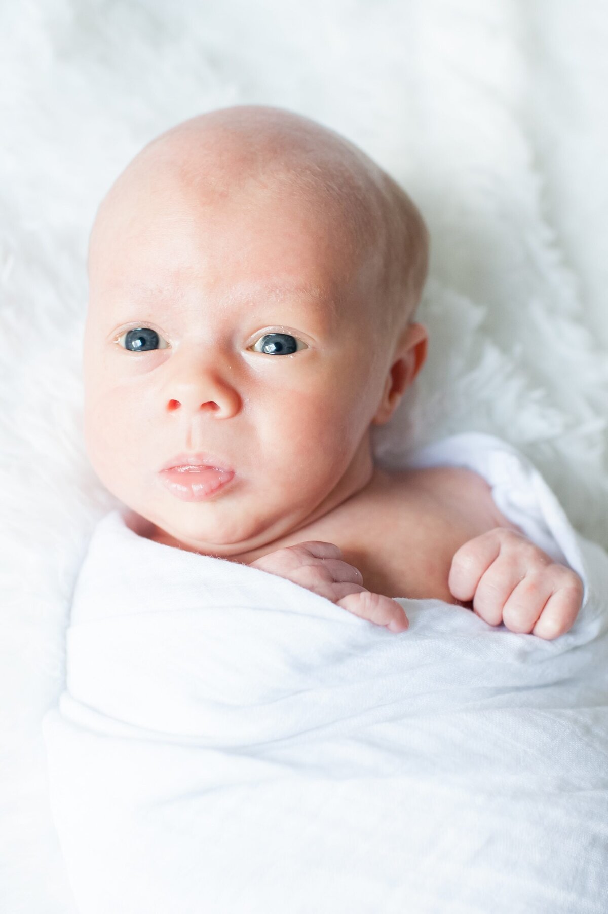 Newborn-Colleen-Putman-Photography-131