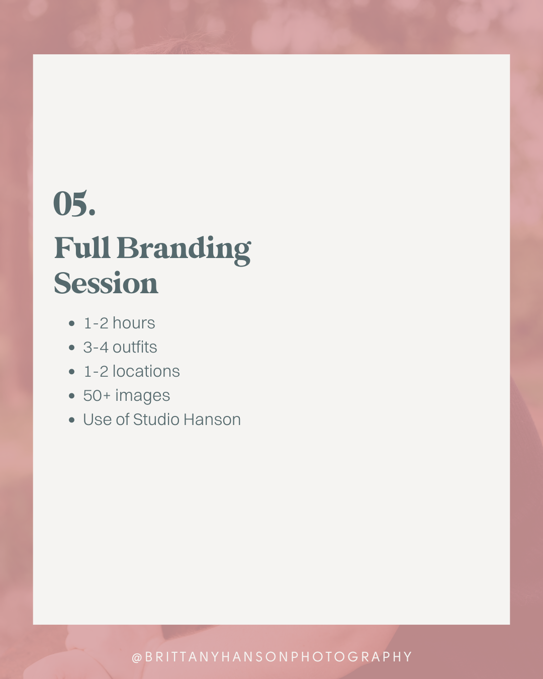 Brittany Hanson Graphics 9
