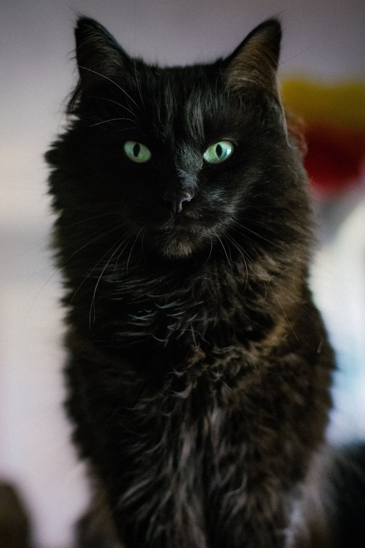DSC_0841-2