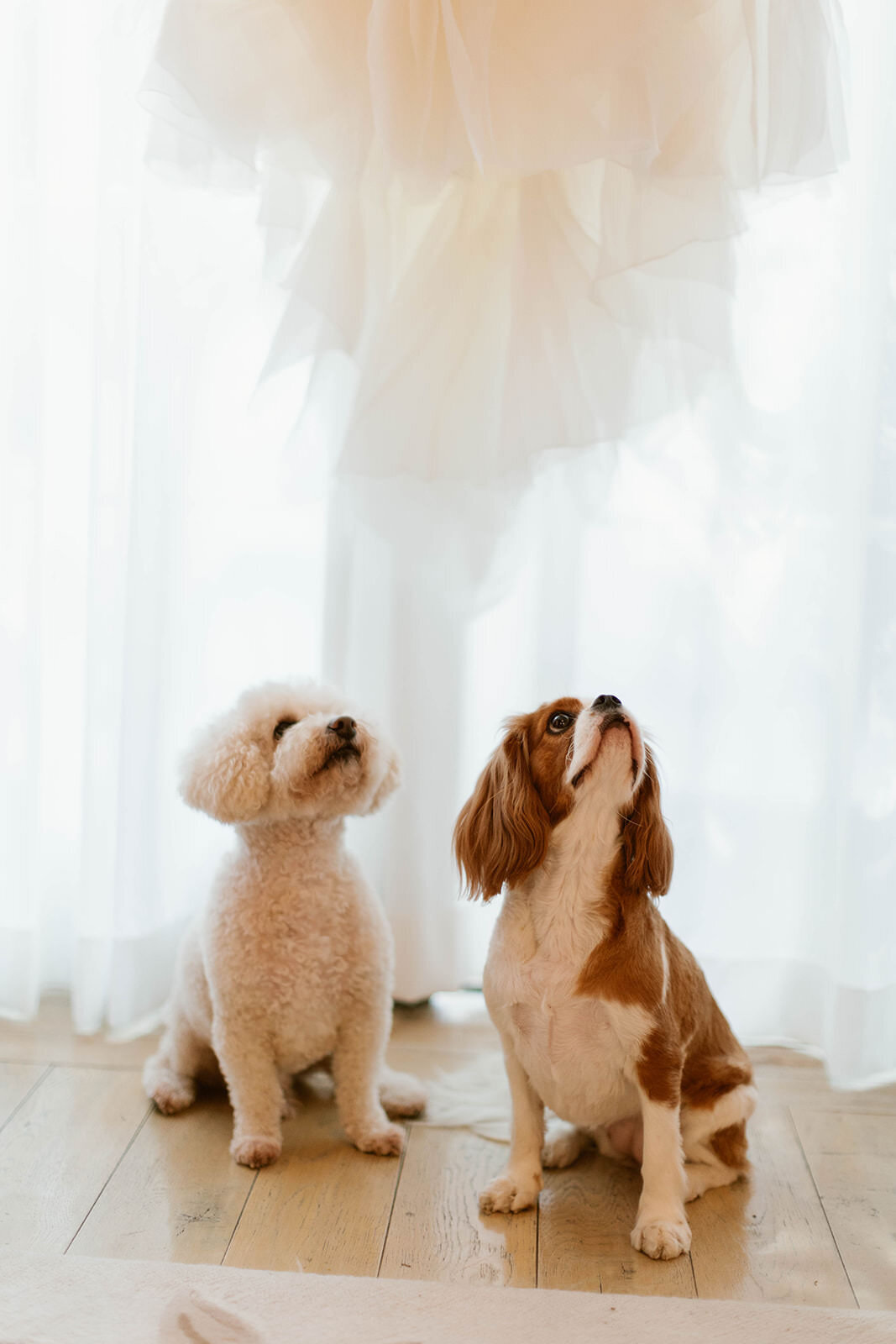 Backyard-Wedding-LosAngeles-ModernFamily-6063