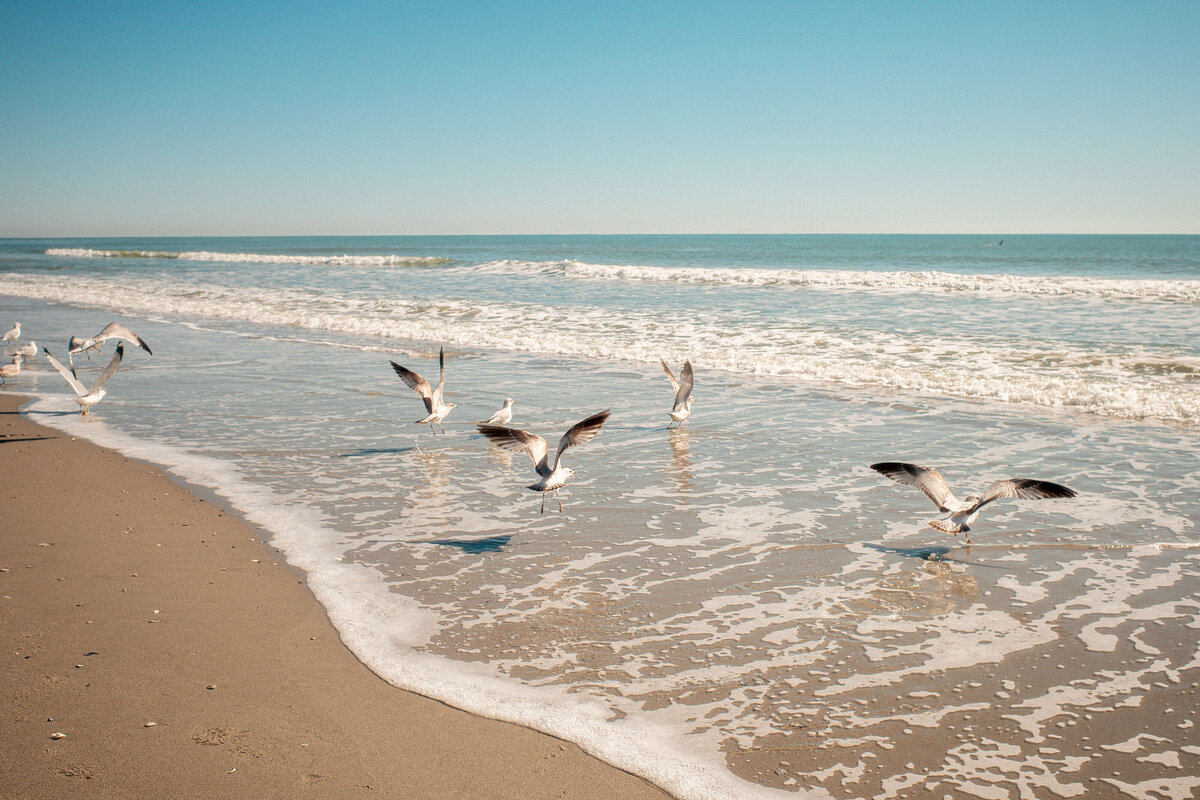 Travel photography in Bluffton, SC