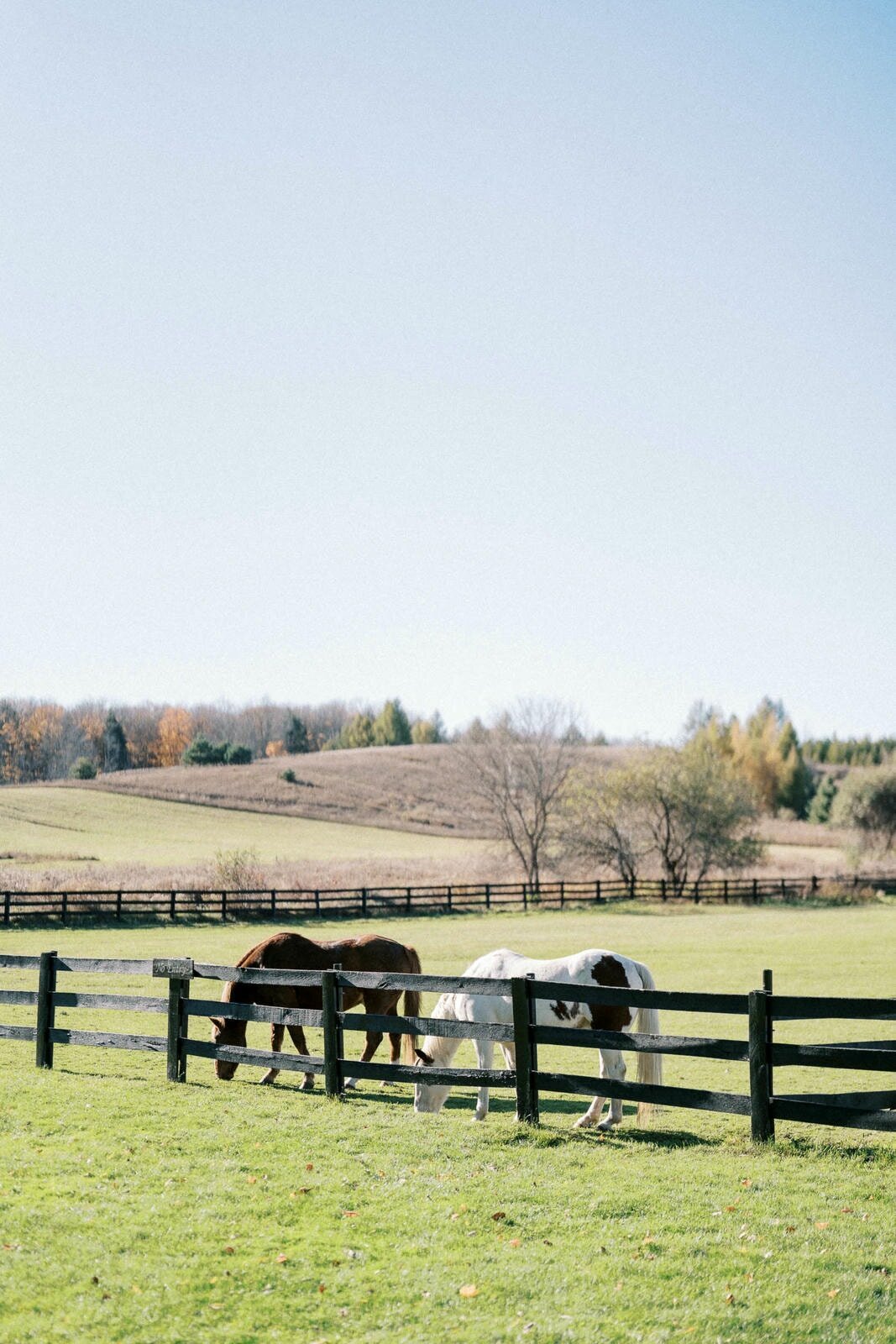 W11-Wedding-Photos-Caledon-Valley-Estate-Eleanor-and-Michael-2024-11-02-2500px-1112