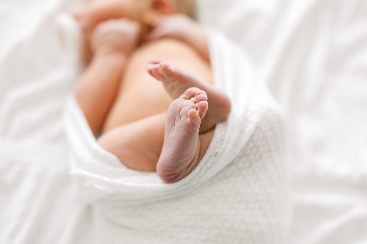 A sweet photo of newborn toes during a studio session.