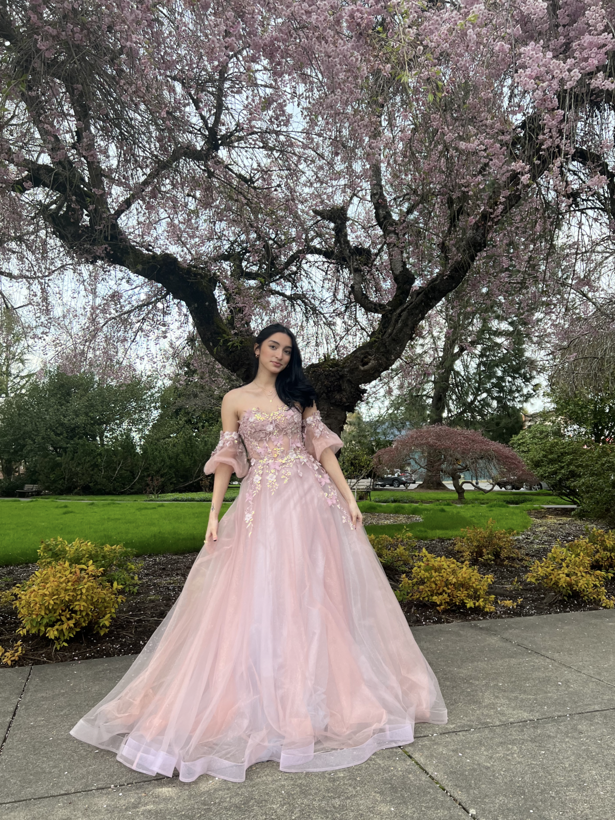 Formal Dress Pink | Lucia Isabel