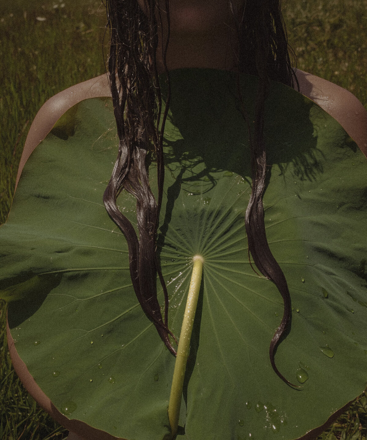 03053fea-095b-4b9d-9d8a-5d5ed222768b