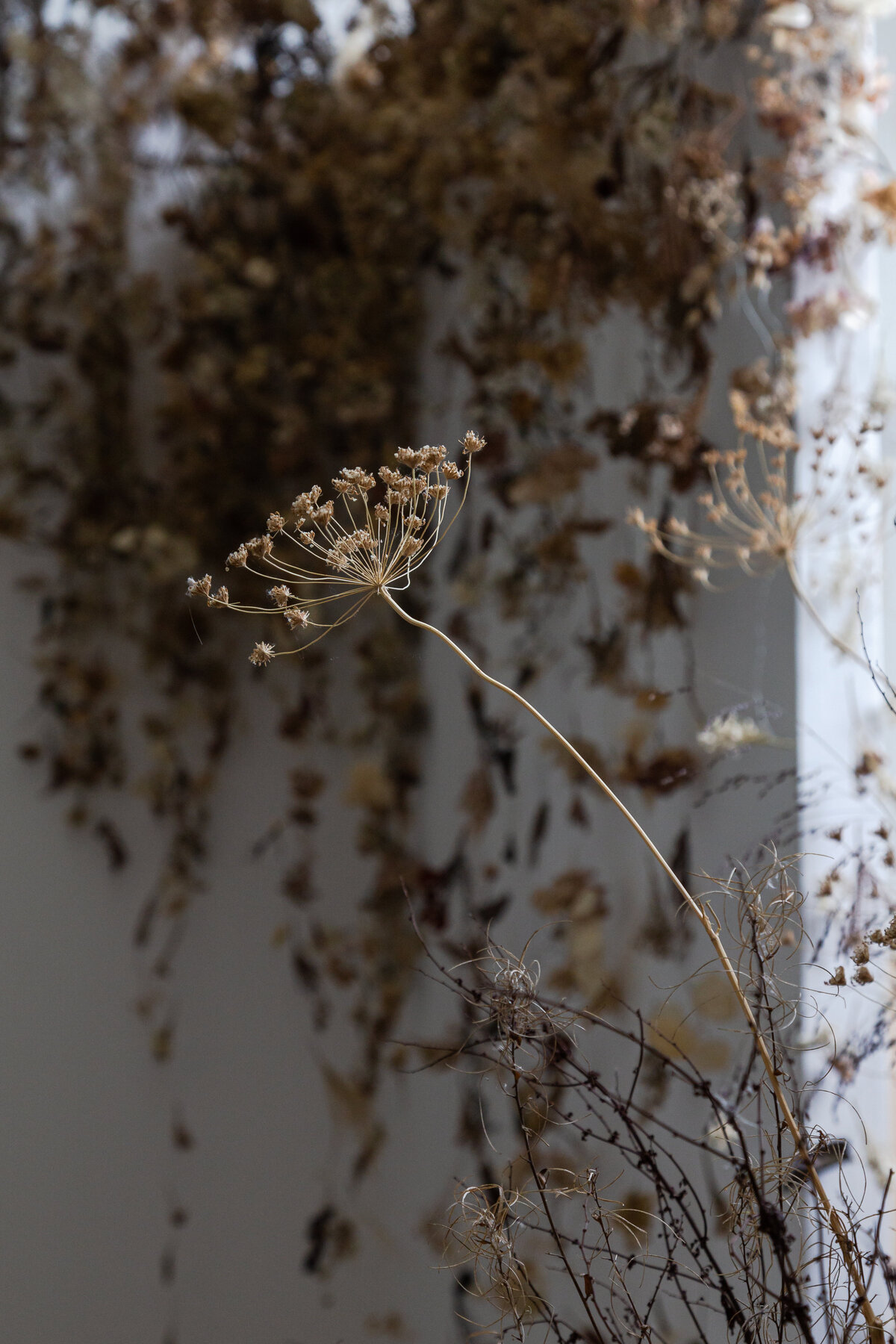 Contemporary Floral Art Installation Wales (15)