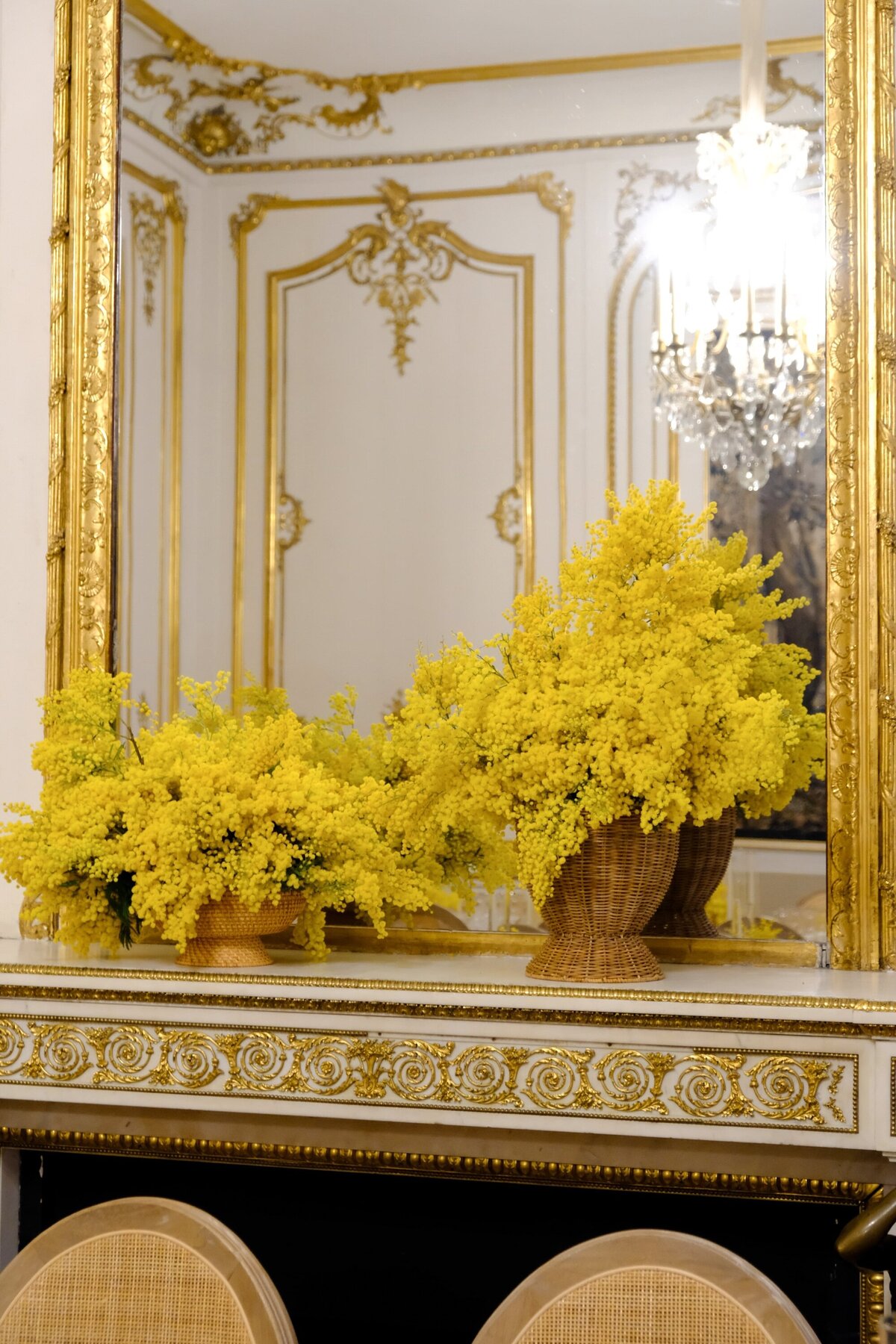 Hotel d'Evreux-florist-mimosa7