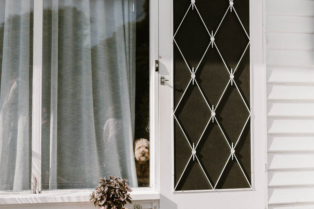 BlossomDaisyCreative_Wedding-Oscar&Bronte-001