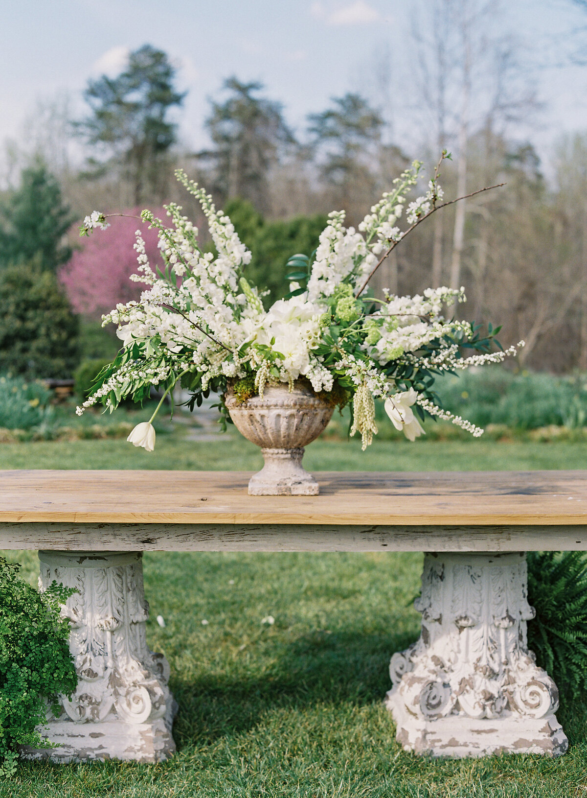 lauragordonphotography_tazandrob-329