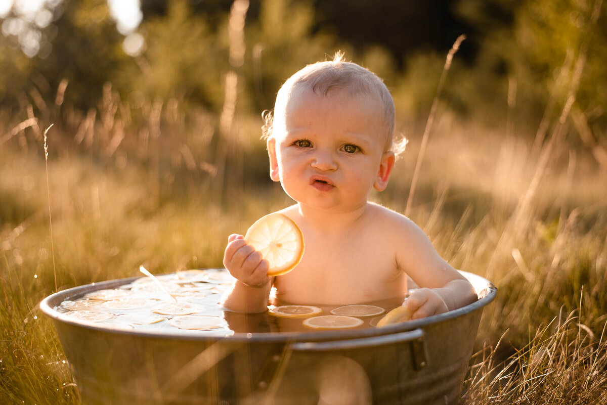 Baby boy eating sour lemon in family photo session