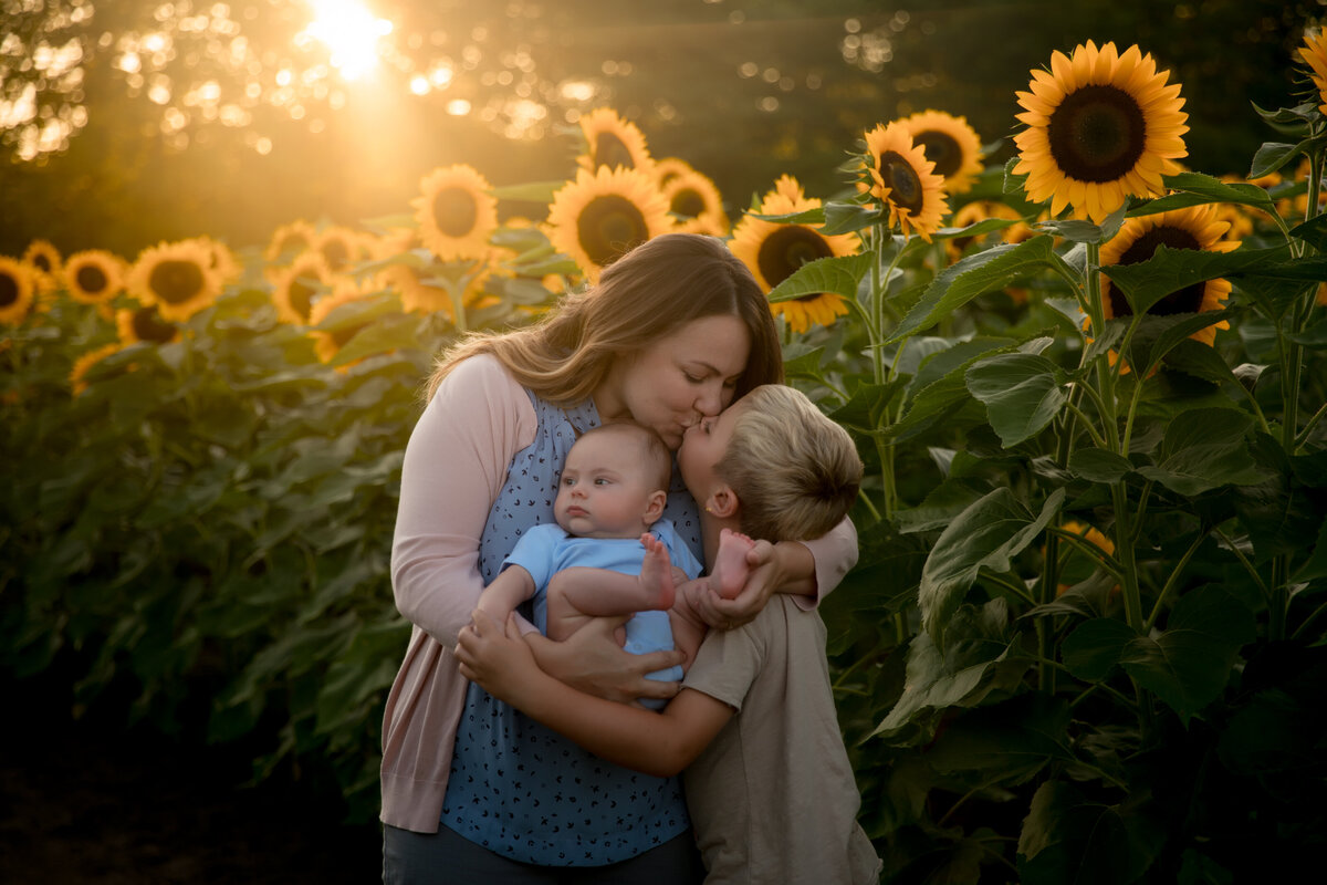 kristeenmarie-photo-sunflower-3065
