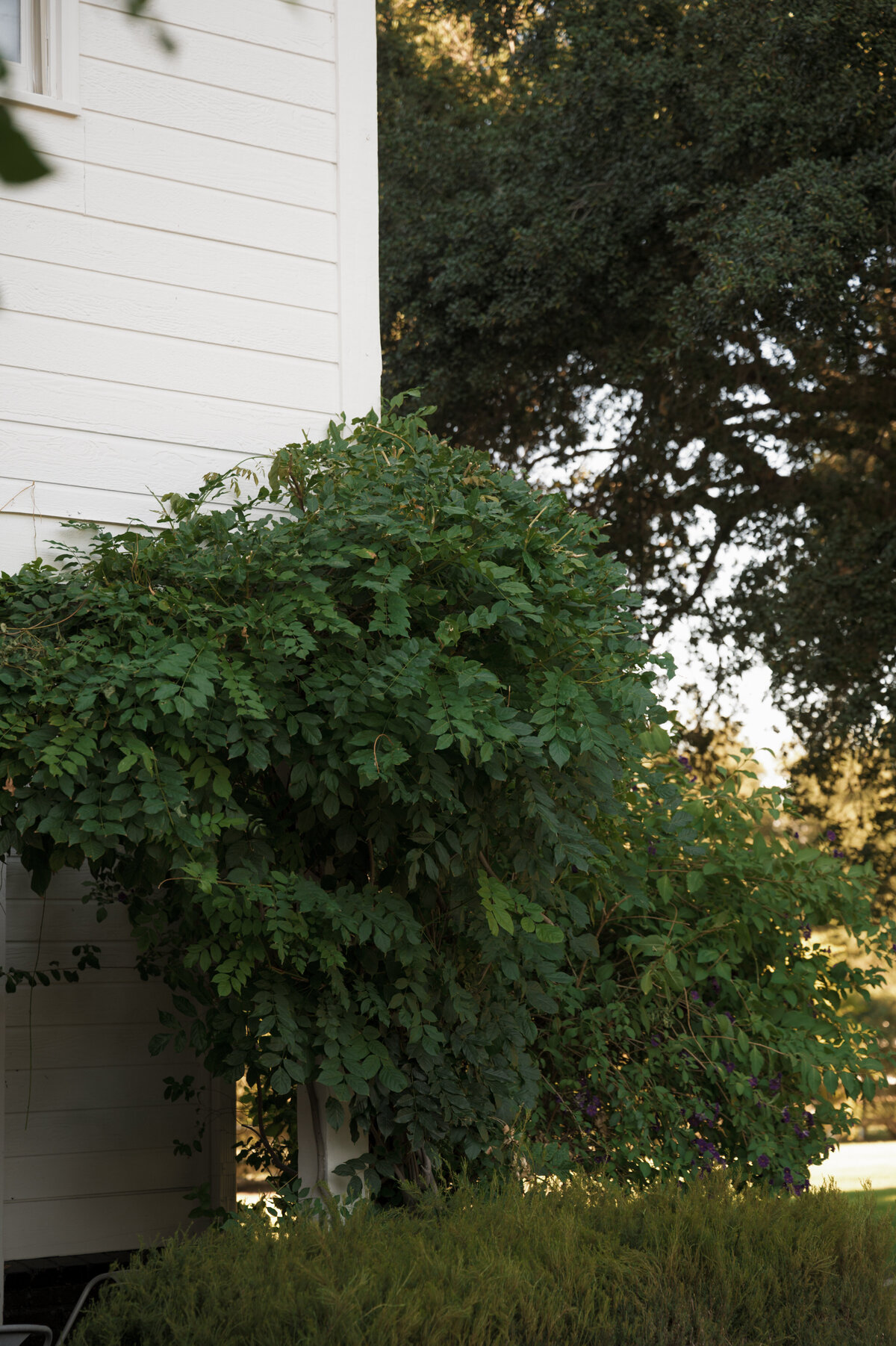 Los_Angeles_wedding_venue_luxury_wedding_planner_top_LA_event_producer_Ojai_wedding_venue_27