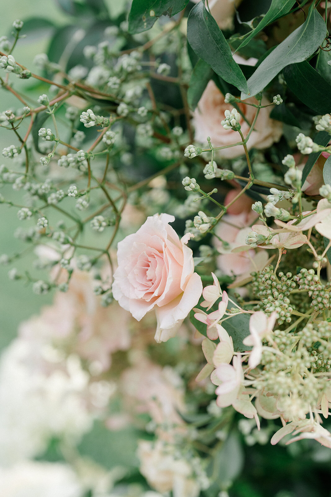 JanetLinPhotography_Hayley&Austin-PreviewGallery-47