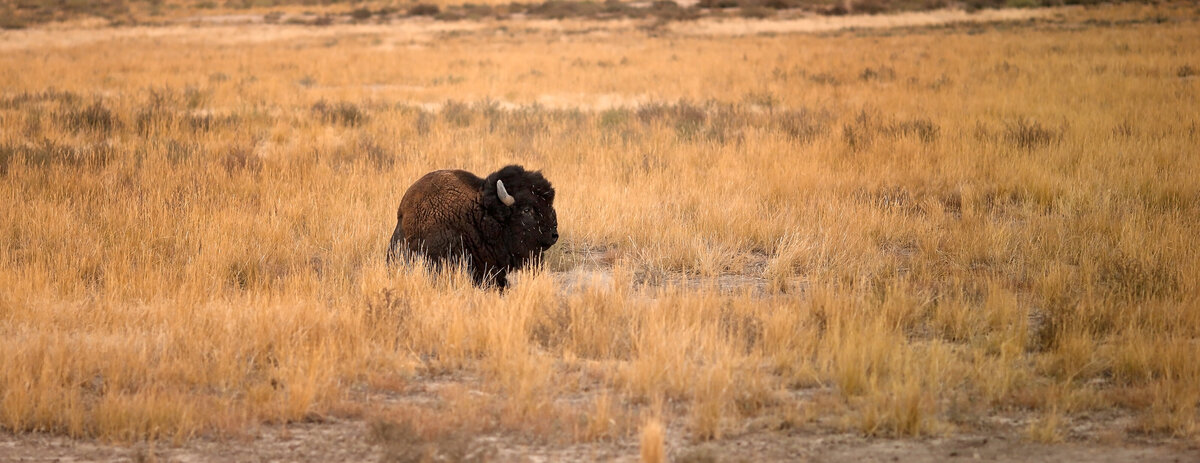 Savannah-photographer-traveler-moab-utah-07